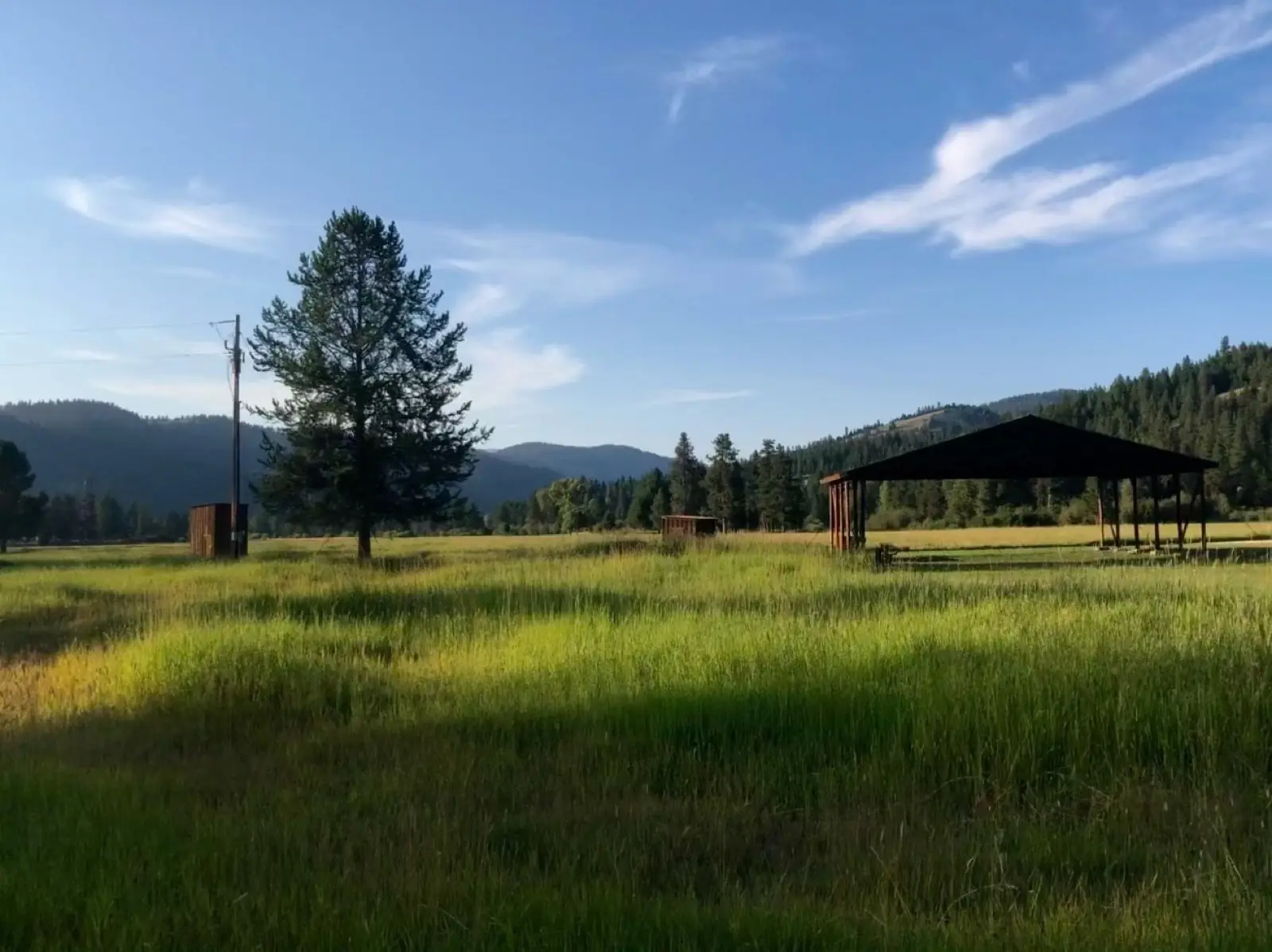 The hangar and a lone pine in the green summer meadow at Alta Ranch near Darby, Montana