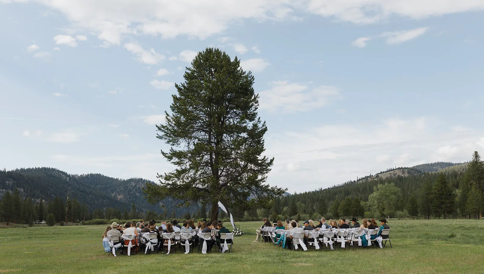 Guests gathered for a ceremony under the big pine in the meadow at Alta Ranch
