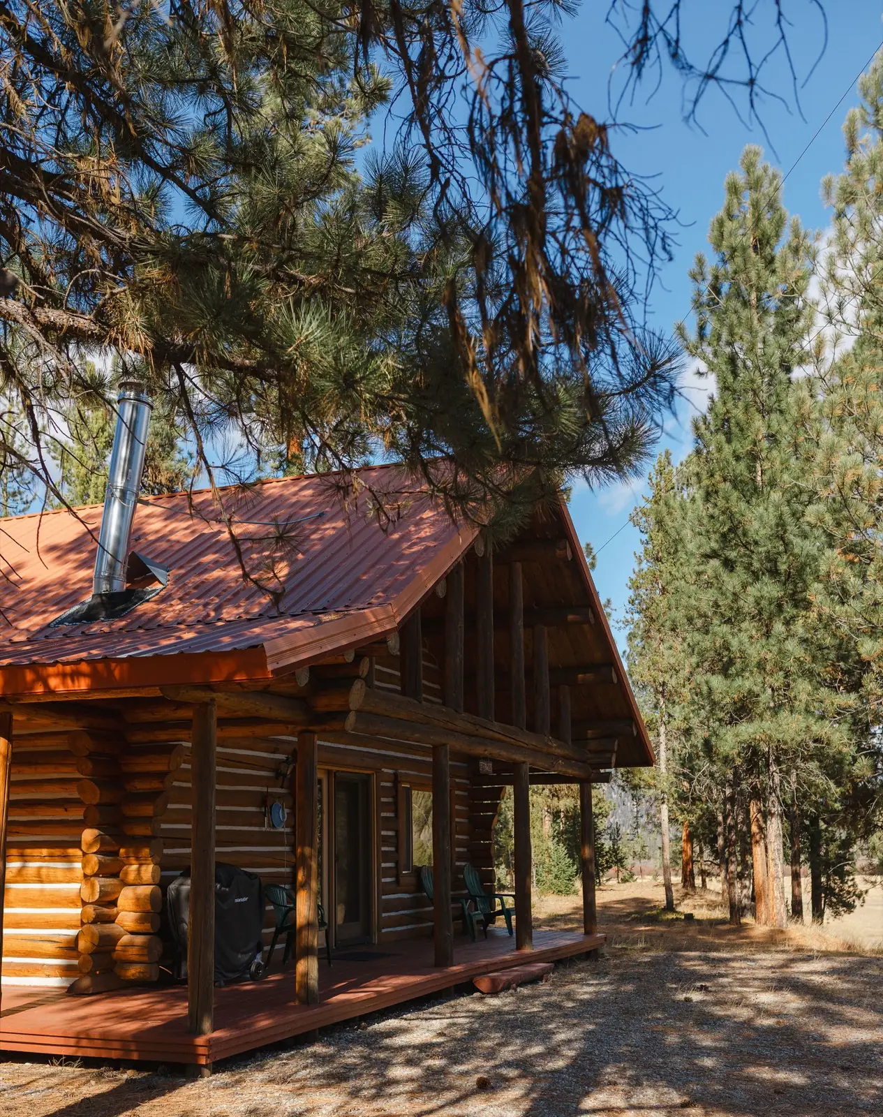 The Cottonwood, a log cabin with a deep porch among tall pines