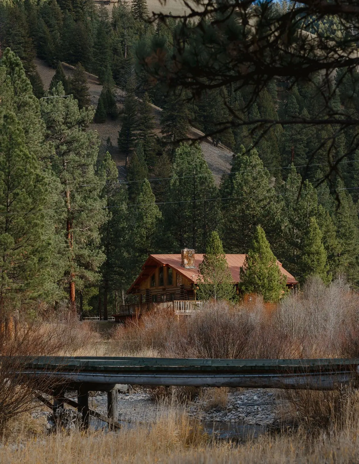 A cabin tucked in the trees beside the creek