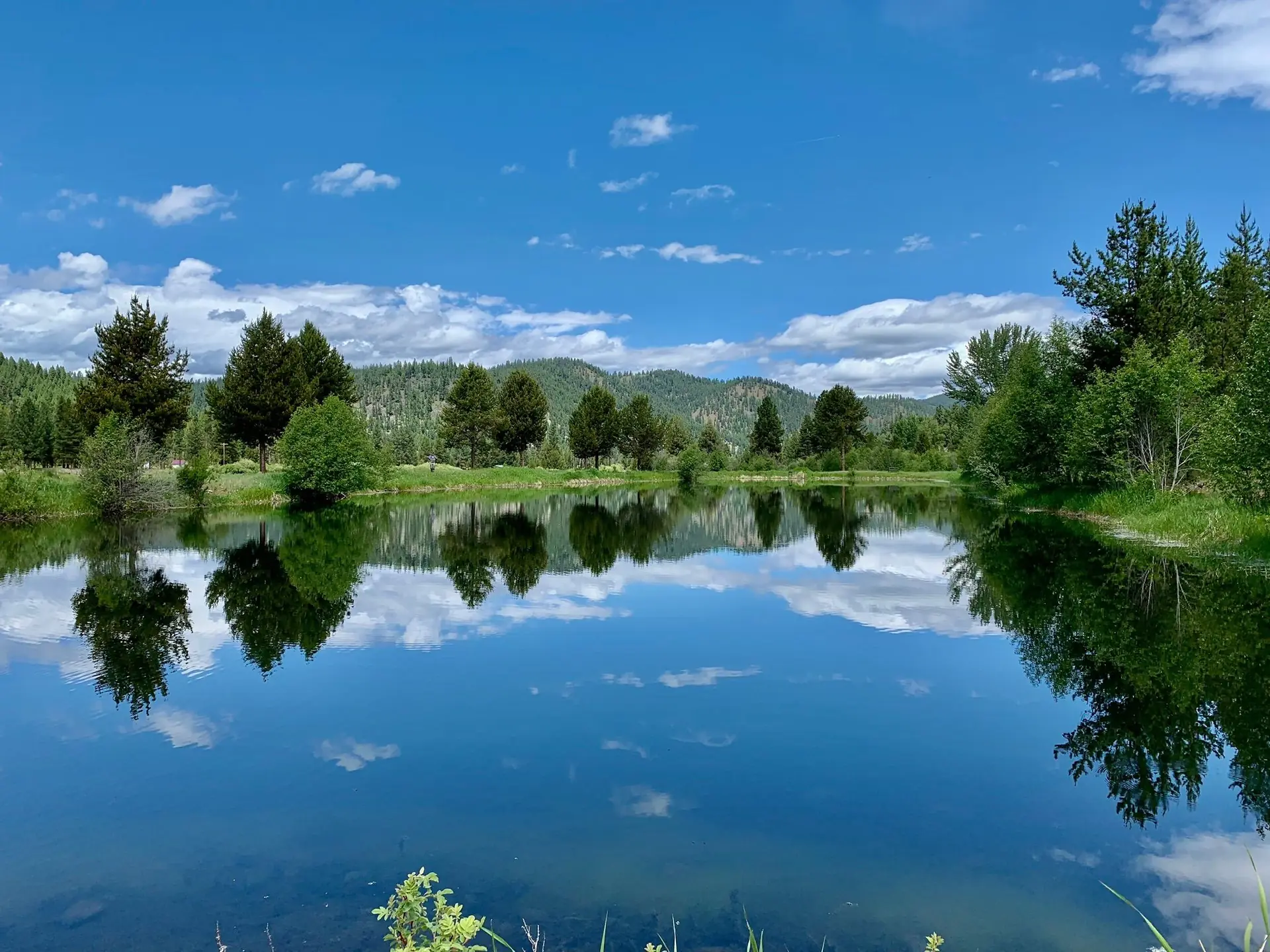 Mountains and blue sky reflected in the still water of the ranch pond